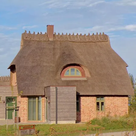 Reetdorf Geltinger Birk Kuenstlerkate Moorochse * Nieby (Nieby, Schleswig-Flensburg)